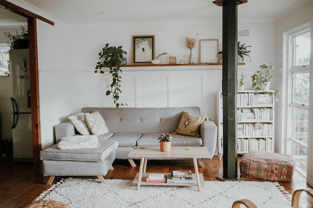 gemütliches Wohnzimmer mit einer grauen Couch,einem weißen Teppich und Pflanzen auf Regalen.