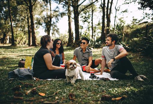 Vier Freunde sitzen in einem Park und Picknicken.