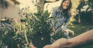 Im Hintergrund ist ein Garten mit Pflanzen und eine braunhaarige Frau. Der Garten wird ,wie es im Mietrecht steht und erlaubt ist, genutzt